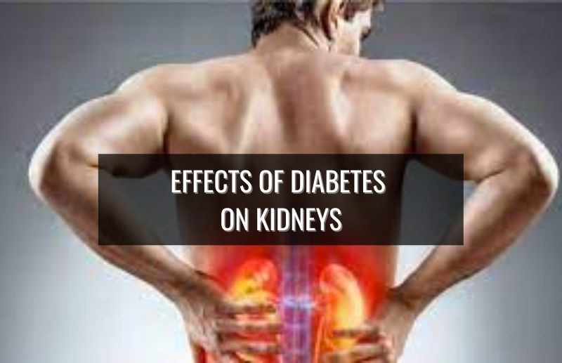 Effects of Diabetes on Kidneys
